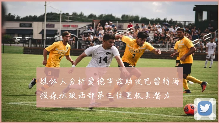 媒体人分析爱德华兹助攻巴雷特海报森林狼西部第三位置极具潜力